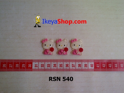 rsn 540  large2